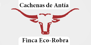 cachenas-de-antia-300x150-1 copia